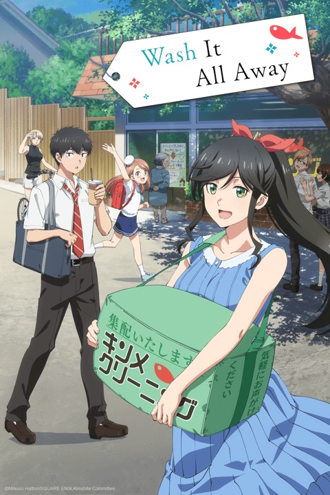 Kirei ni Shite moraemasuka.